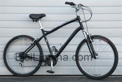 Specialized Globe Carmel opinión y ficha técnica